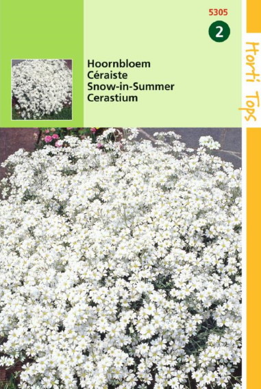 Hoornbloem (Cerastium biebersteinii) 625 zaden